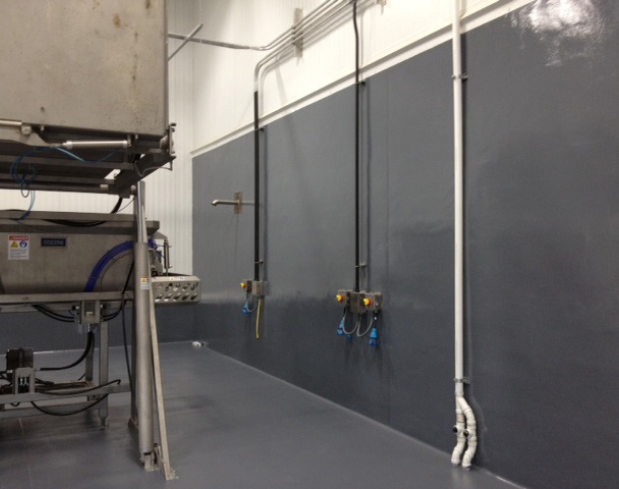 Food Processing With Stonglaze