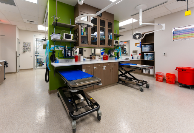 Veterinary Procedure Room Stontec Flooring