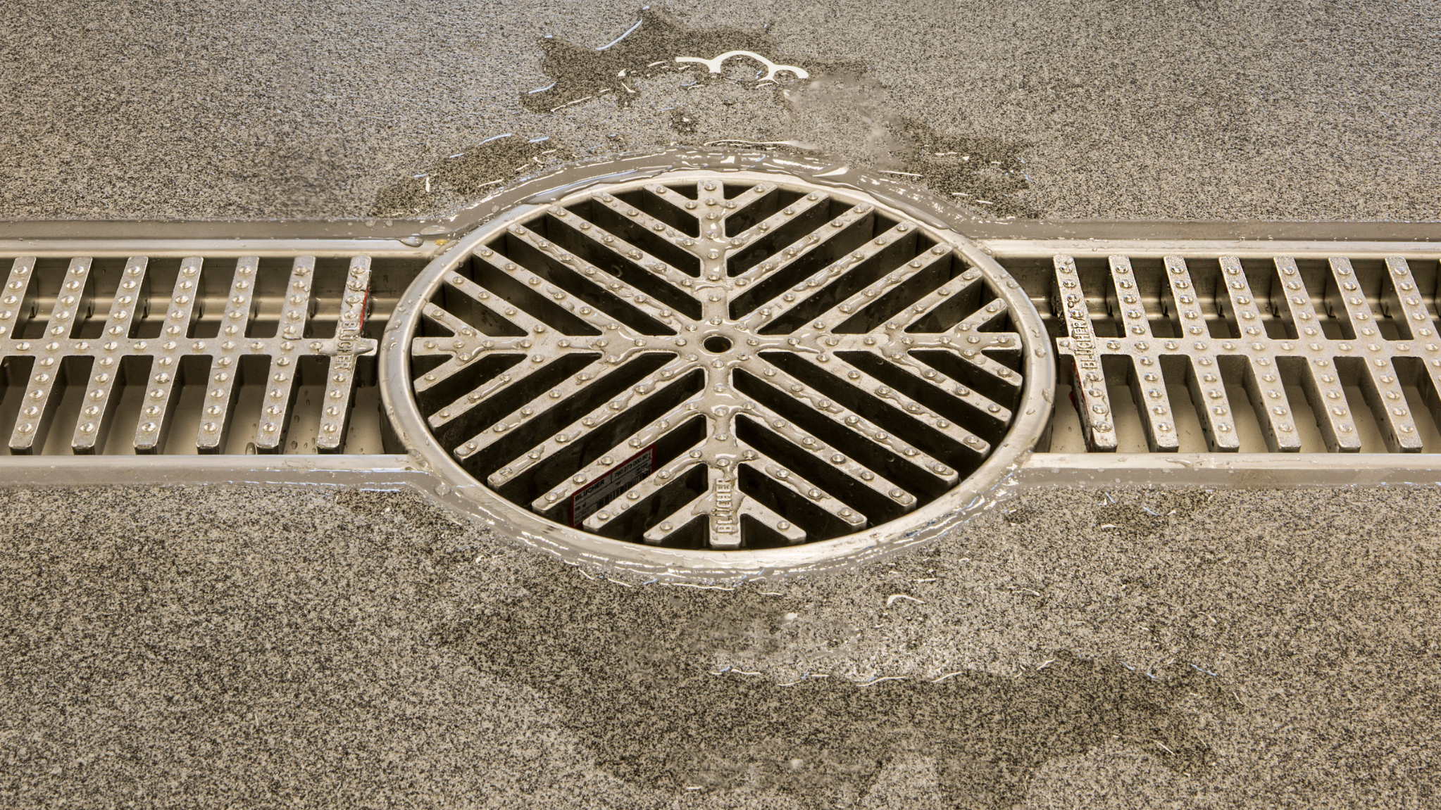 Commercial Hygienic Drains