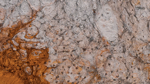 Reflect FUSION STORM