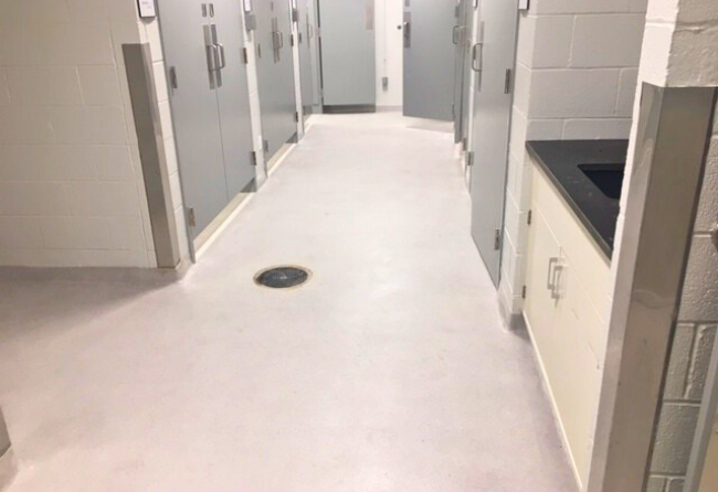 Vivarium With Stonshield Xpress Flooring