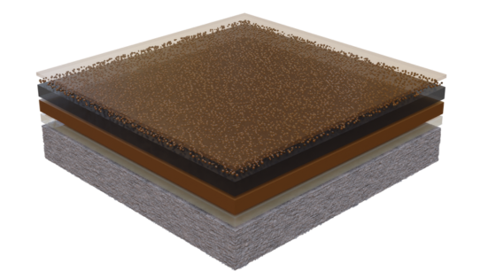 Stongard MD Acorn.Png