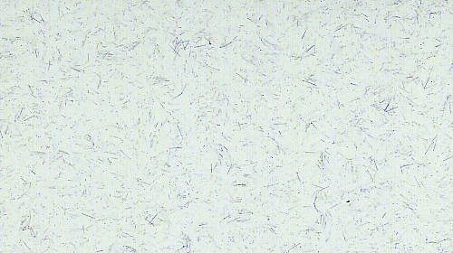 Stonlux ESD Sea Foam