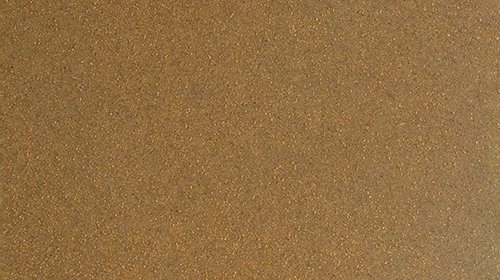 POLISHED SAND DOLLAR