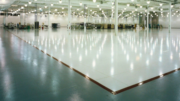 Plexus Landing Image (1)