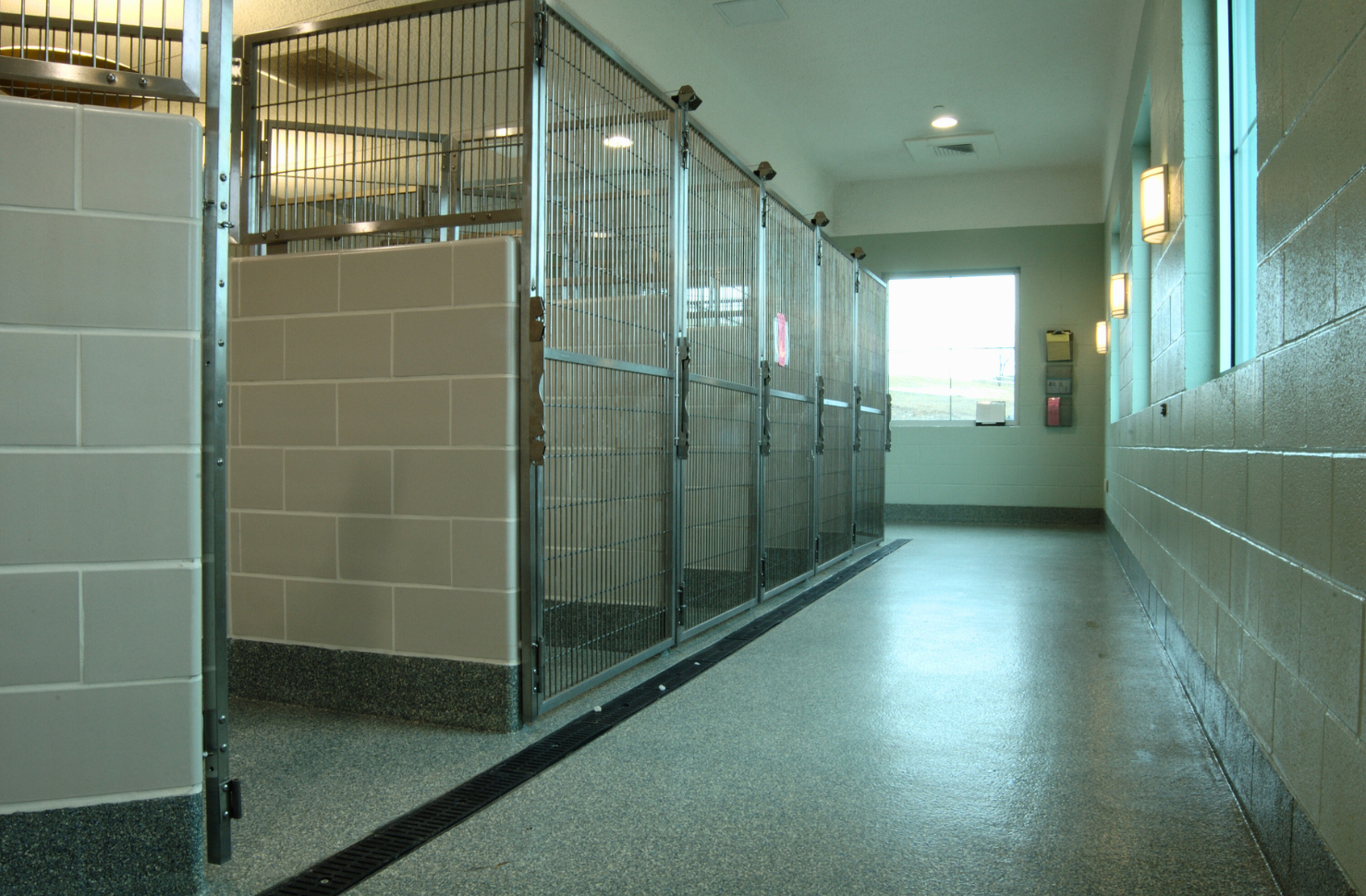 Animal Adoption Center Project Profile