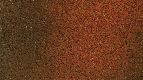 POLISHED MUSSEL BEACH