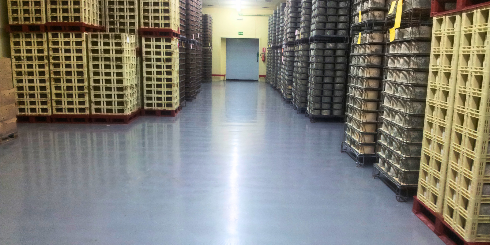 Stonhard Dairy Flooring