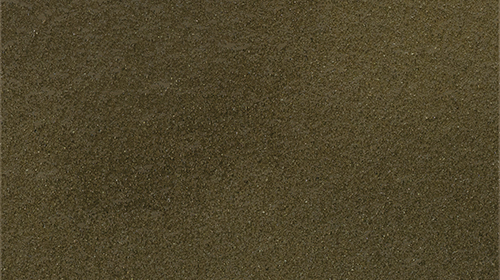 POLISHED TORTOISE SHELL