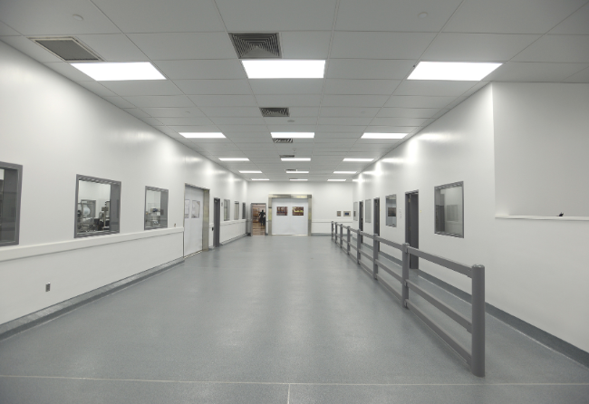 Stonglaze VSE Pharma Corridor