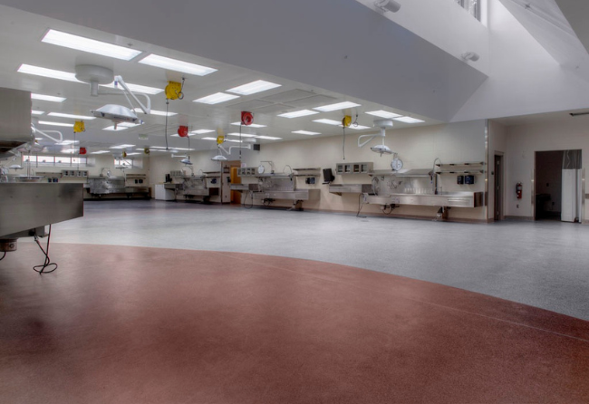 District 9 Landing Image