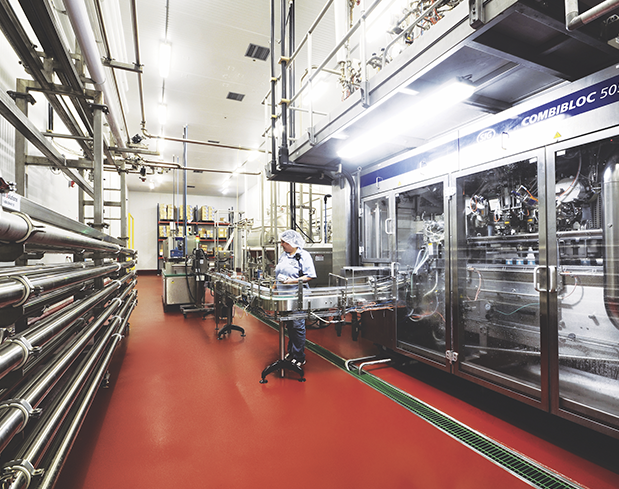 Procesamiento De Alimentos Stonclad