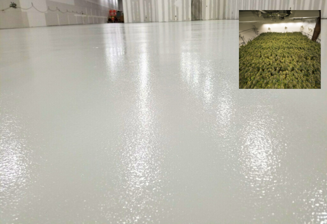 Medical Marijuana Manufacturer Flooring Project