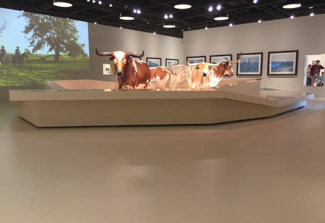 Museum With Stonclad GS Flooring