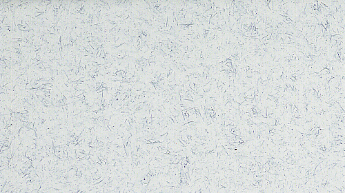 Stonlux ESD Ash Gray